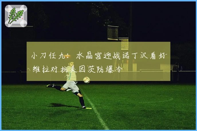 小刀任九：水晶宫迎战诺丁汉看好 维拉对抗美因茨防爆冷