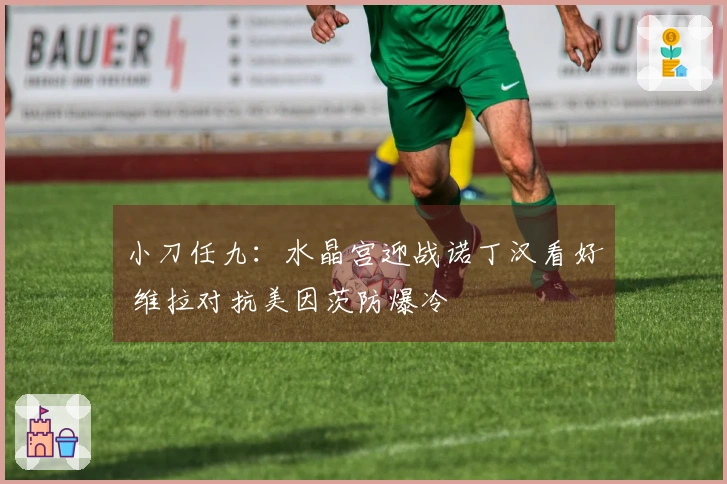 小刀任九：水晶宫迎战诺丁汉看好 维拉对抗美因茨防爆冷